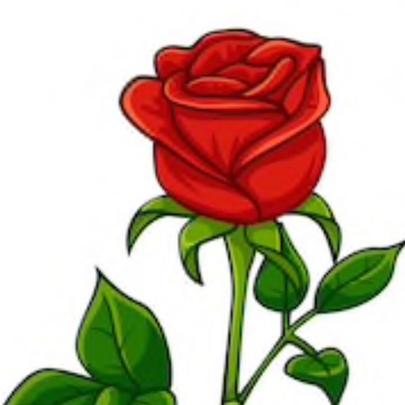 Meet your Posher, Rose - Picture 1 of 1